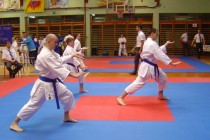 Denis Kranjc, Jan Brezočnik in Tadje Dajčman med ekipnim nastopom v članskih katah title=