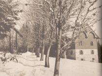 Fischerjeva vila  leta 1940; levo je logarjeva koča, v ospredju pa drevored  jerebik, nasajenih od vile do Koče na Klopnem vrhu (lastnika fotografije sta  Almira in Franc Koper) title=