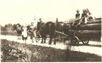 Prevoz hlodov s konji title=